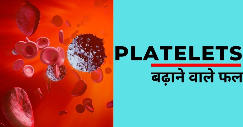 प्लेटलेट्स बढ़ाने वाले फल प्लेटलेट्स बढ़ाने वाले फल